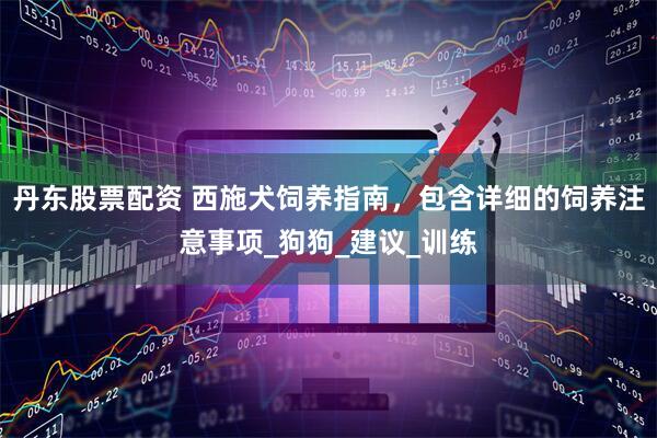 丹东股票配资 西施犬饲养指南，包含详细的饲养注意事项_狗狗_建议_训练